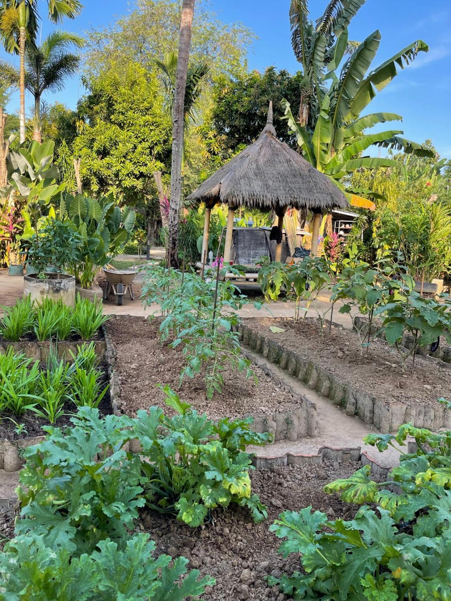 Anggrek Putih Lombok Cooking Class And Homestay Senggigi Exterior photo